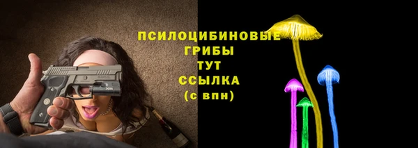 альфа пвп Нязепетровск