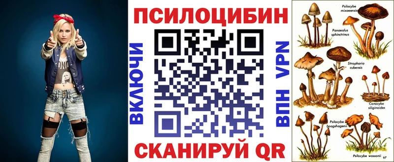 ссылка на мегу   Калач  Галлюциногенные грибы Cubensis  цена наркотик 